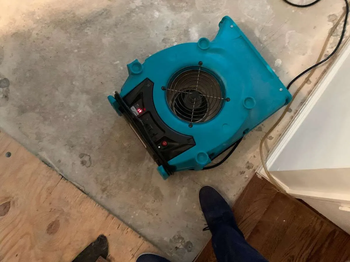 Air mover drying subfloor during Leak Detection & Repair in Olympia Heights